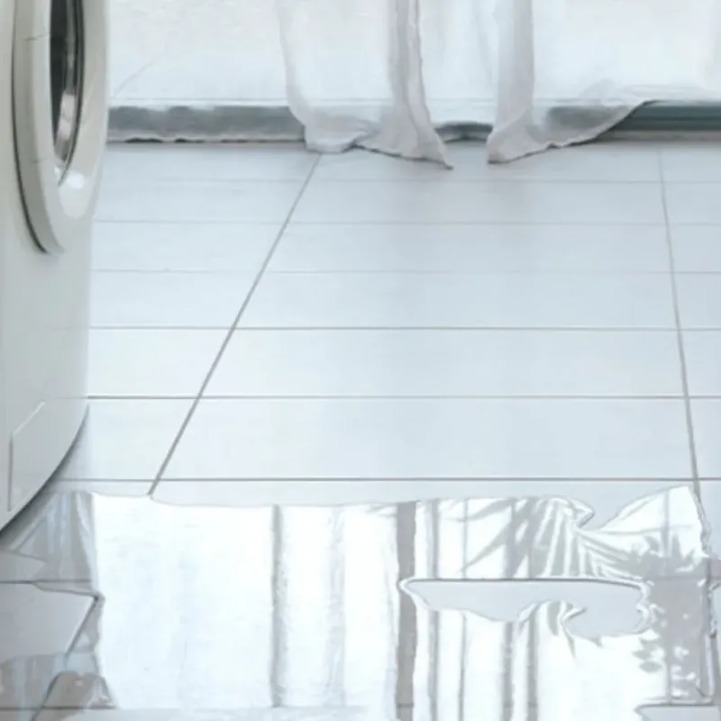 Appliance Leak Cleanup in Tortolita, AZ