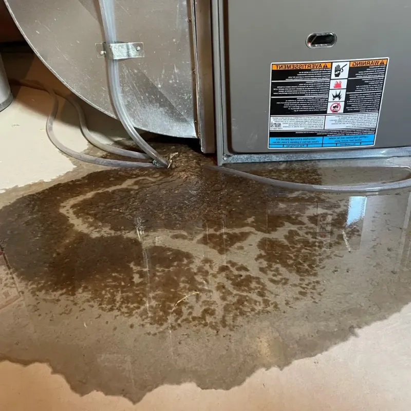 Pipe Burst and Leak Restoration in Tortolita, AZ